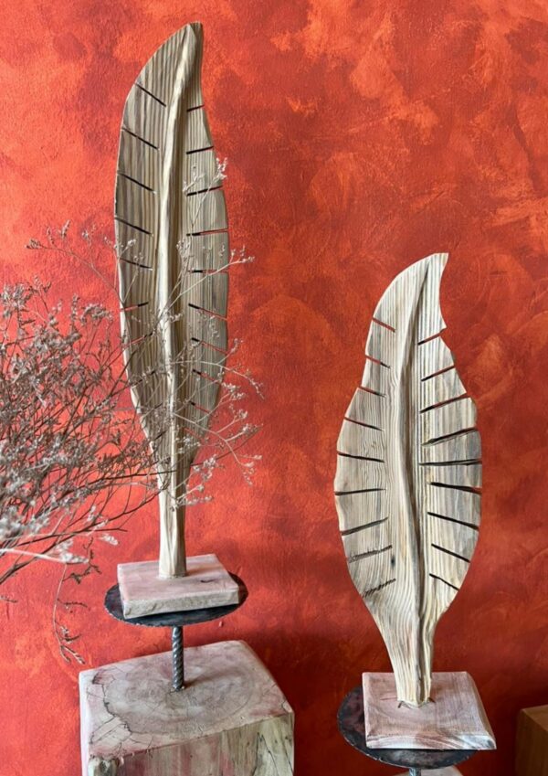 Plumas Medianas